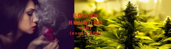 гашиш Богданович