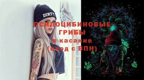 гашиш Богданович
